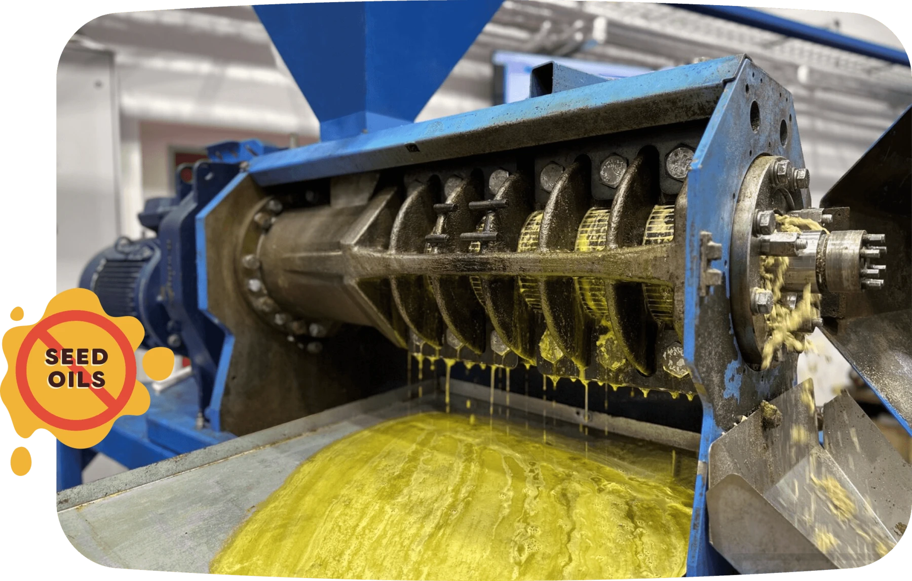 Industrial seed oil processing equipment